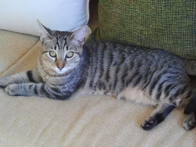 multimedia-foto45823-711-3