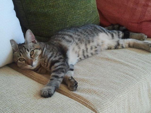 multimedia-foto45824-711-3