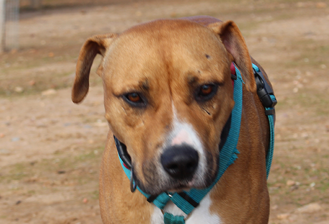 multimedia-foto45910-438-3