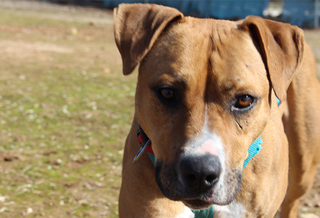 multimedia-foto45911-439-3