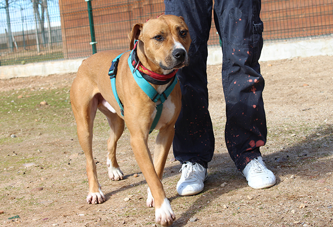 multimedia-foto45912-439-3