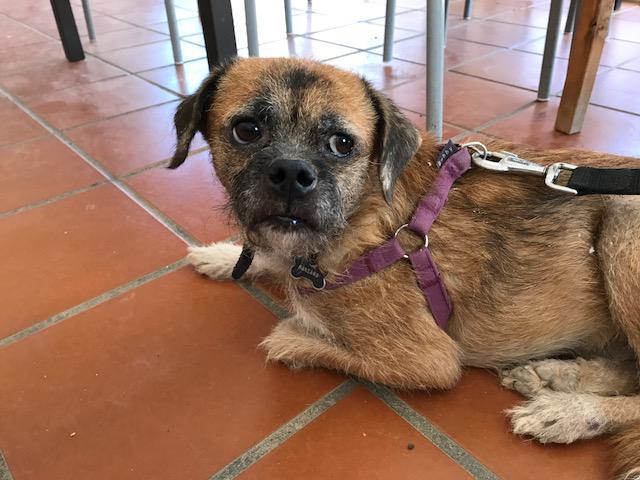 multimedia-foto45915-938-3