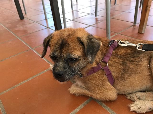 multimedia-foto45917-939-3