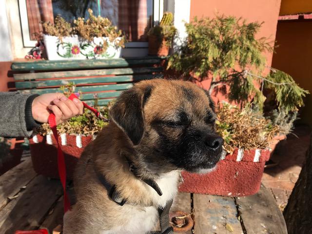 multimedia-foto45919-965-3