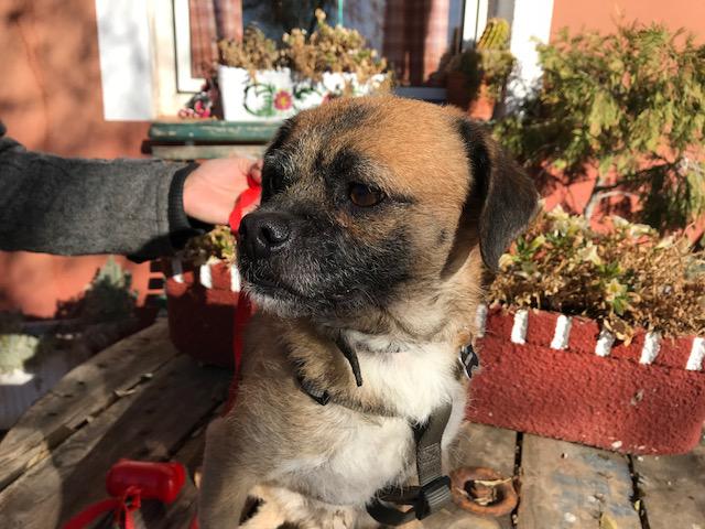 multimedia-foto45920-965-3