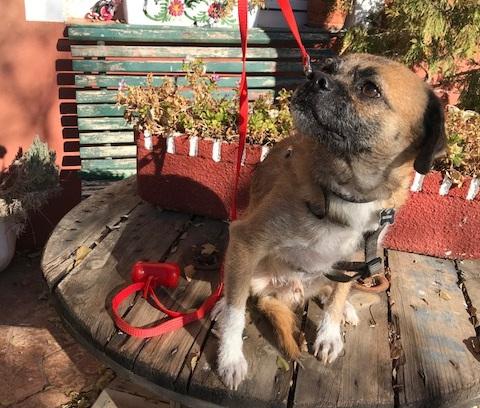 multimedia-foto45921-966-3