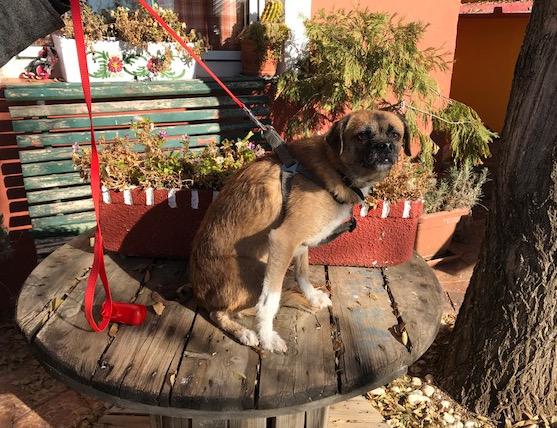 multimedia-foto45922-966-3