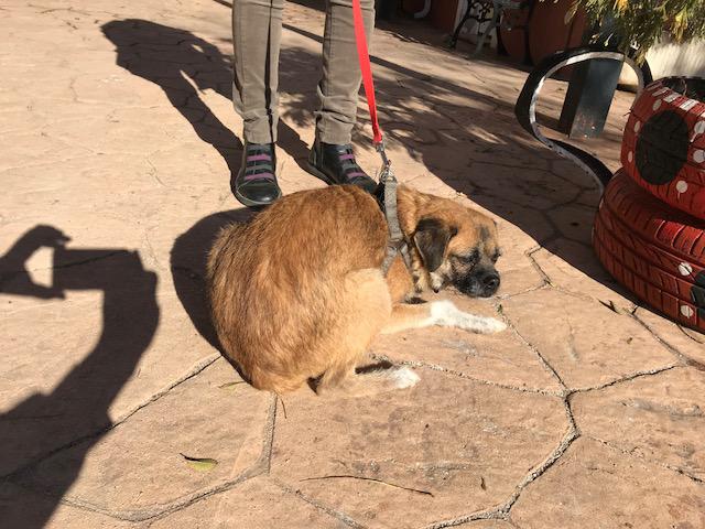 multimedia-foto45923-998-3