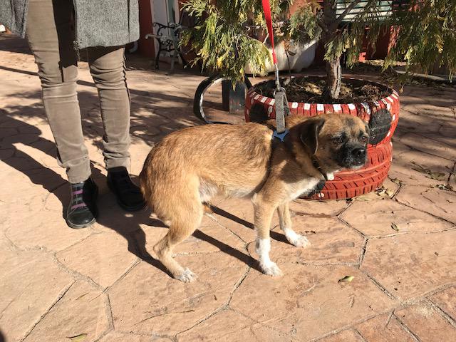 multimedia-foto45924-998-3