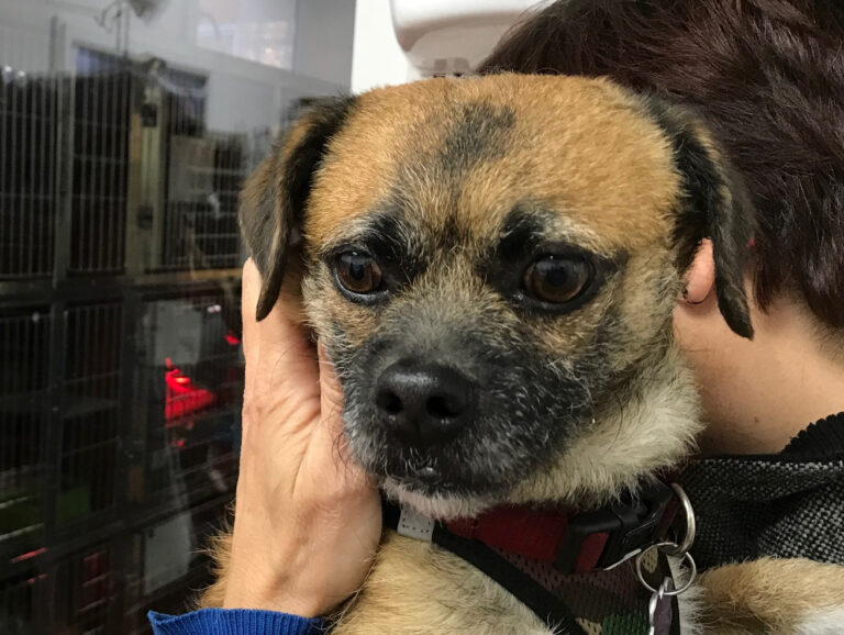 multimedia-foto45925-999-3