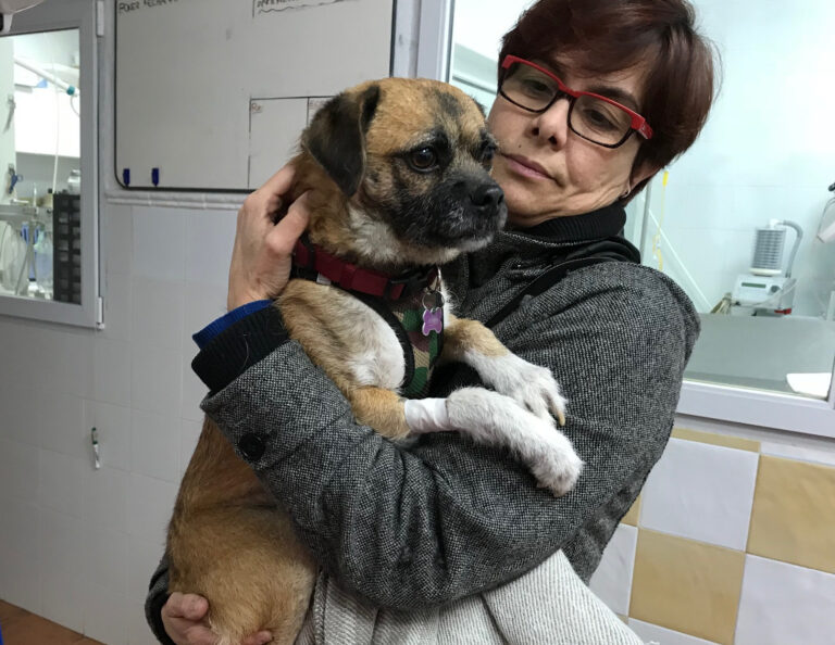 multimedia-foto45926-1000-3