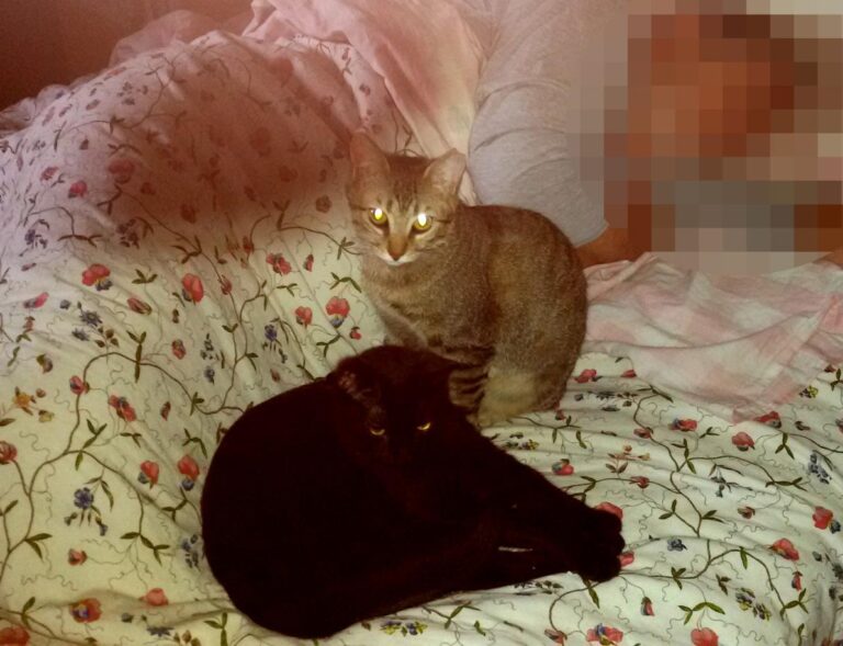 multimedia-foto45928-288-3