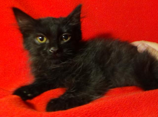 multimedia-foto45966-24-3