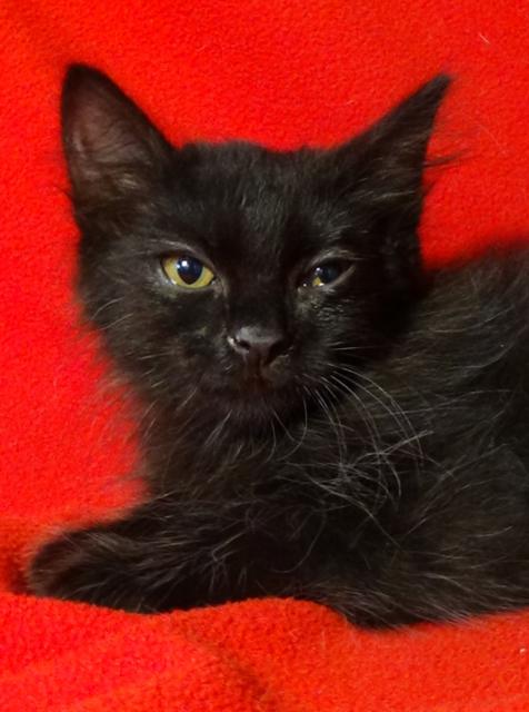 multimedia-foto45967-24-3