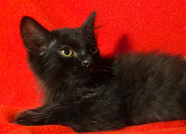 multimedia-foto45968-25-3