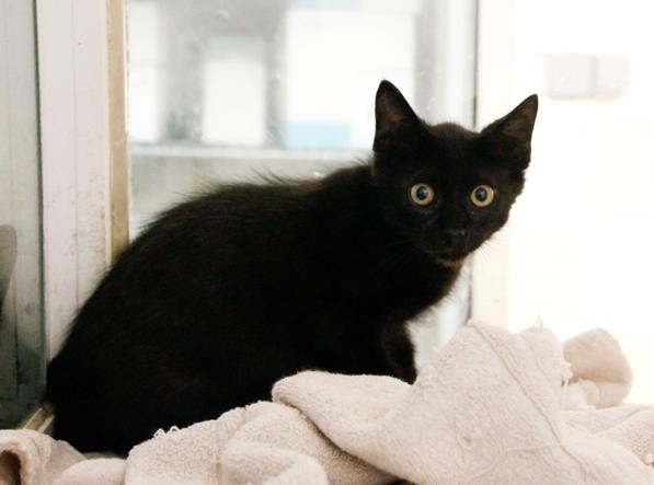 multimedia-foto46000-7-3