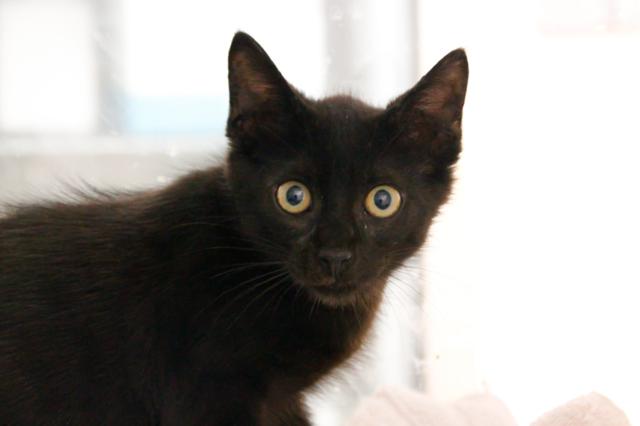 multimedia-foto46001-7-3