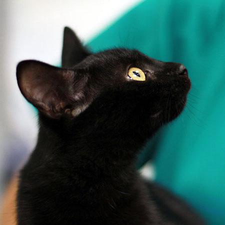 multimedia-foto46002-7-3