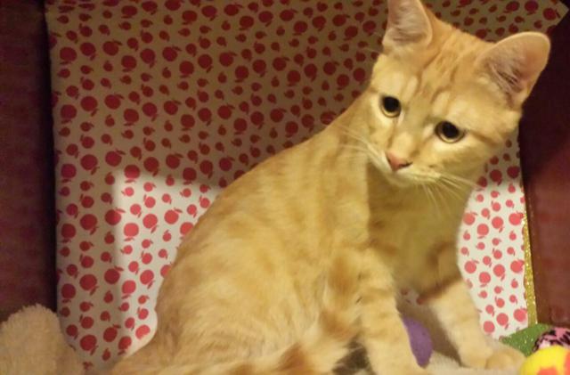 multimedia-foto46071-364-3