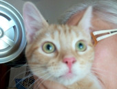 multimedia-foto46074-367-3