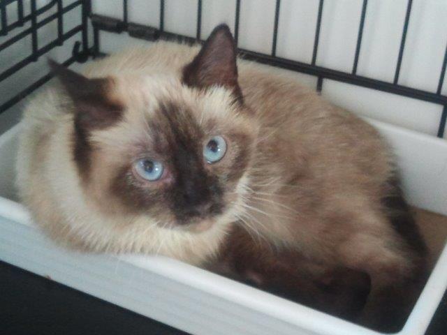 multimedia-foto46075-549-3