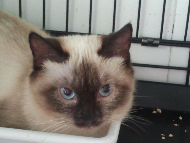 multimedia-foto46076-549-3