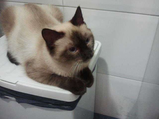 multimedia-foto46077-550-3