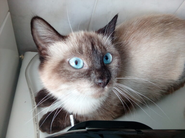 multimedia-foto46078-550-3