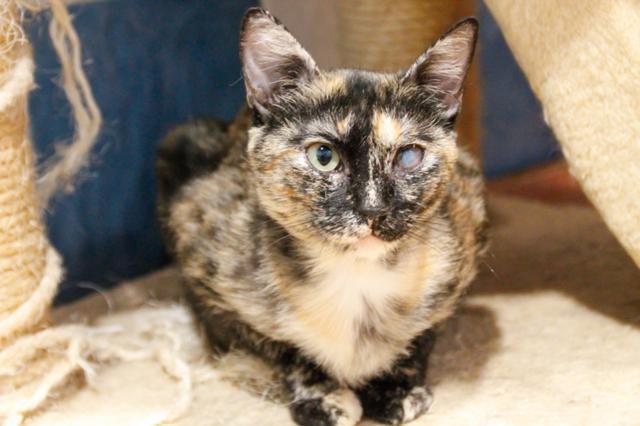 multimedia-foto46079-761-3