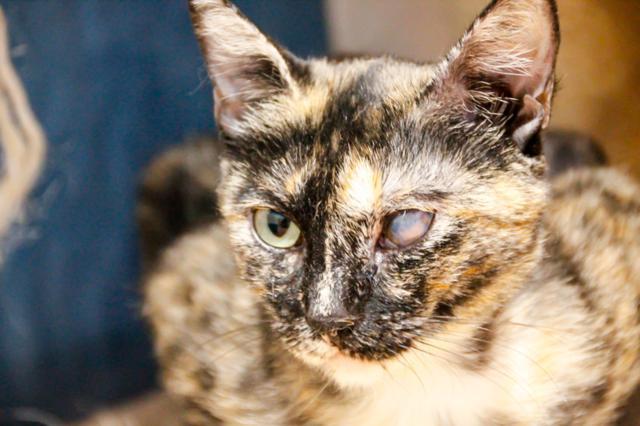 multimedia-foto46080-761-3