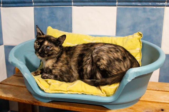 multimedia-foto46081-762-3