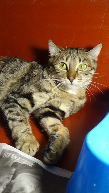 multimedia-foto46096-683-3