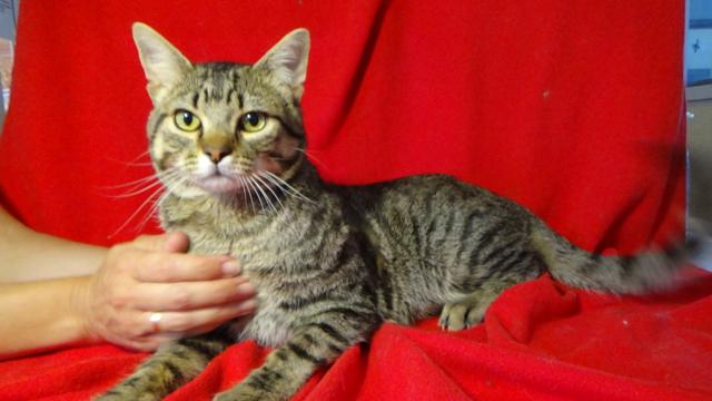 multimedia-foto46108-444-3