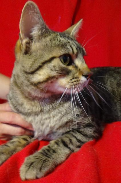 multimedia-foto46109-445-3