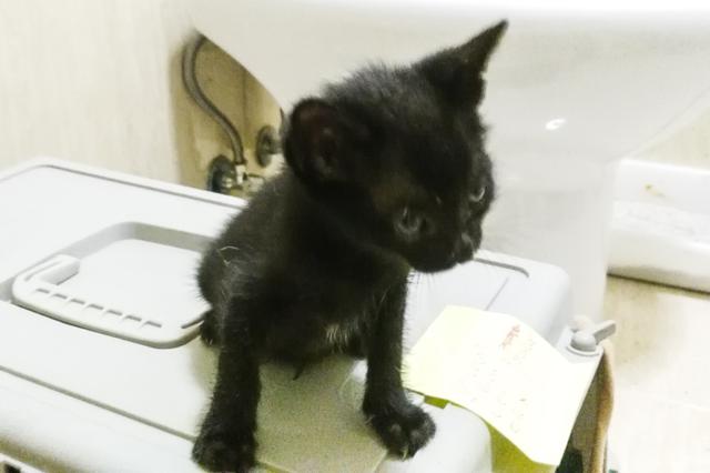 multimedia-foto46114-495-3