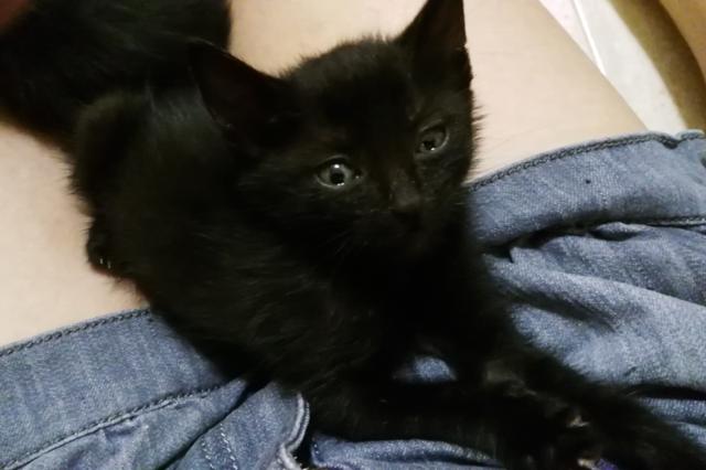 multimedia-foto46115-496-3