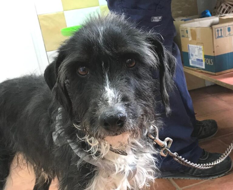 multimedia-foto46160-526-3