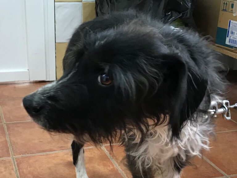 multimedia-foto46161-526-3