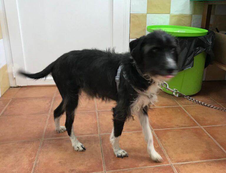 multimedia-foto46162-527-3