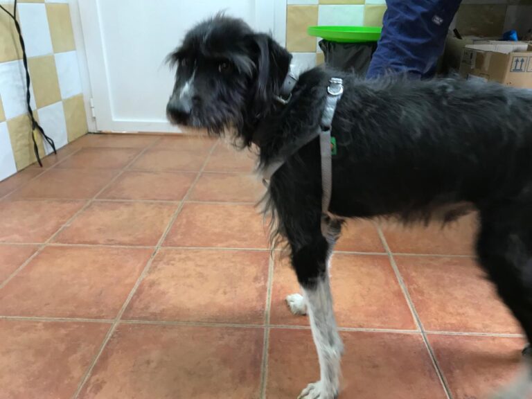 multimedia-foto46164-553-3