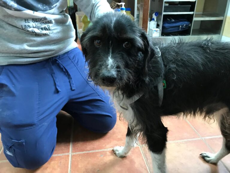 multimedia-foto46165-553-3