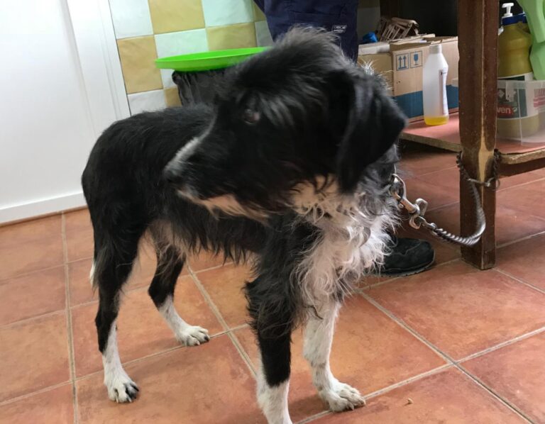 multimedia-foto46167-582-3