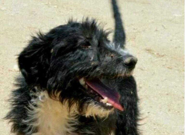 multimedia-foto46169-583-3