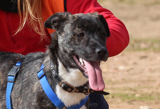 multimedia-foto46210-965-3