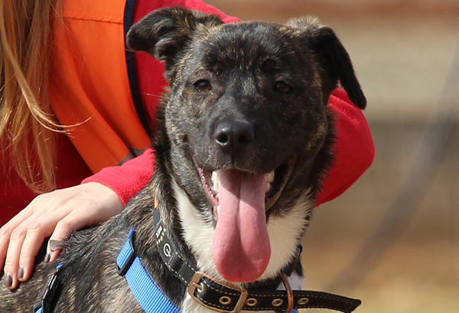 multimedia-foto46211-966-3