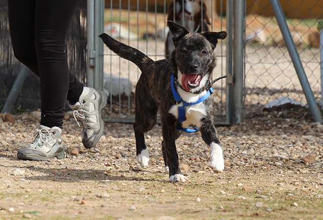 multimedia-foto46212-966-3