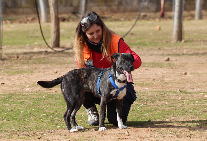 multimedia-foto46213-967-3