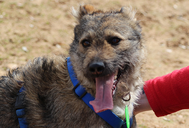 multimedia-foto46214-223-3