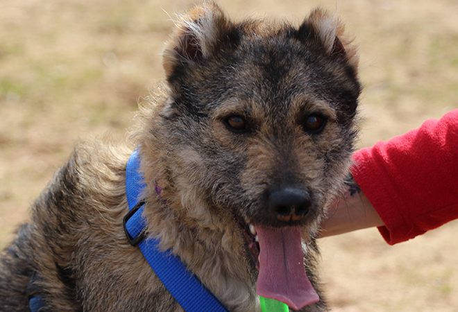 multimedia-foto46216-223-3