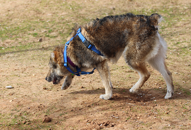 multimedia-foto46217-224-3